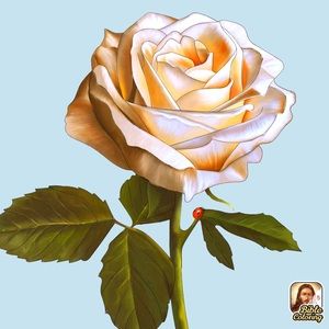 Meet your Posher, Carolina